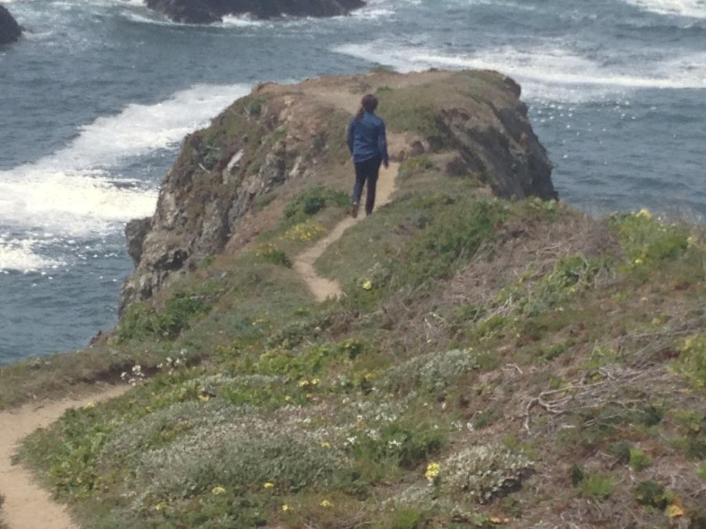Joshua Grindle Inn Mendocino Eksteriør bilde